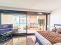 Co-exclusivity - Gorgeous studio flat in Parc Saint Roman - Appartamenti in vendita a MonteCarlo