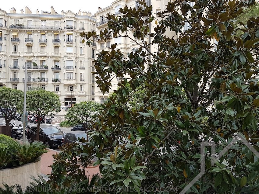 Appartamenti Vendita Montecarlo Appartamenti Vendita Montecarlo