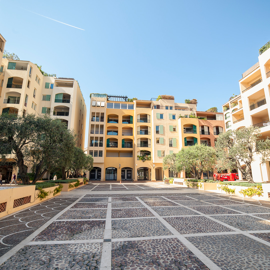 Vendita Locali commerciali / uffici amministrativi Botticelli - Appartamenti in vendita a MonteCarlo