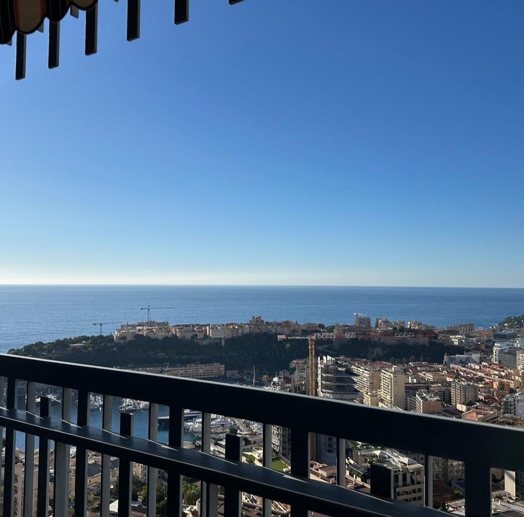 Lussuoso appartamento di 2 locali con vista eccezionale - Appartamenti in vendita a MonteCarlo
