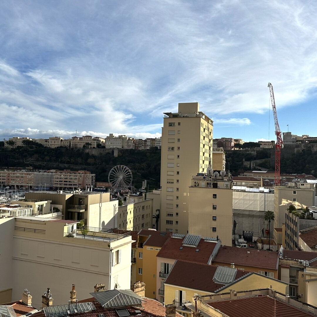 Elegante appartamento di 2 locali ristrutturato in un palazzo borghese - Appartamenti in vendita a MonteCarlo