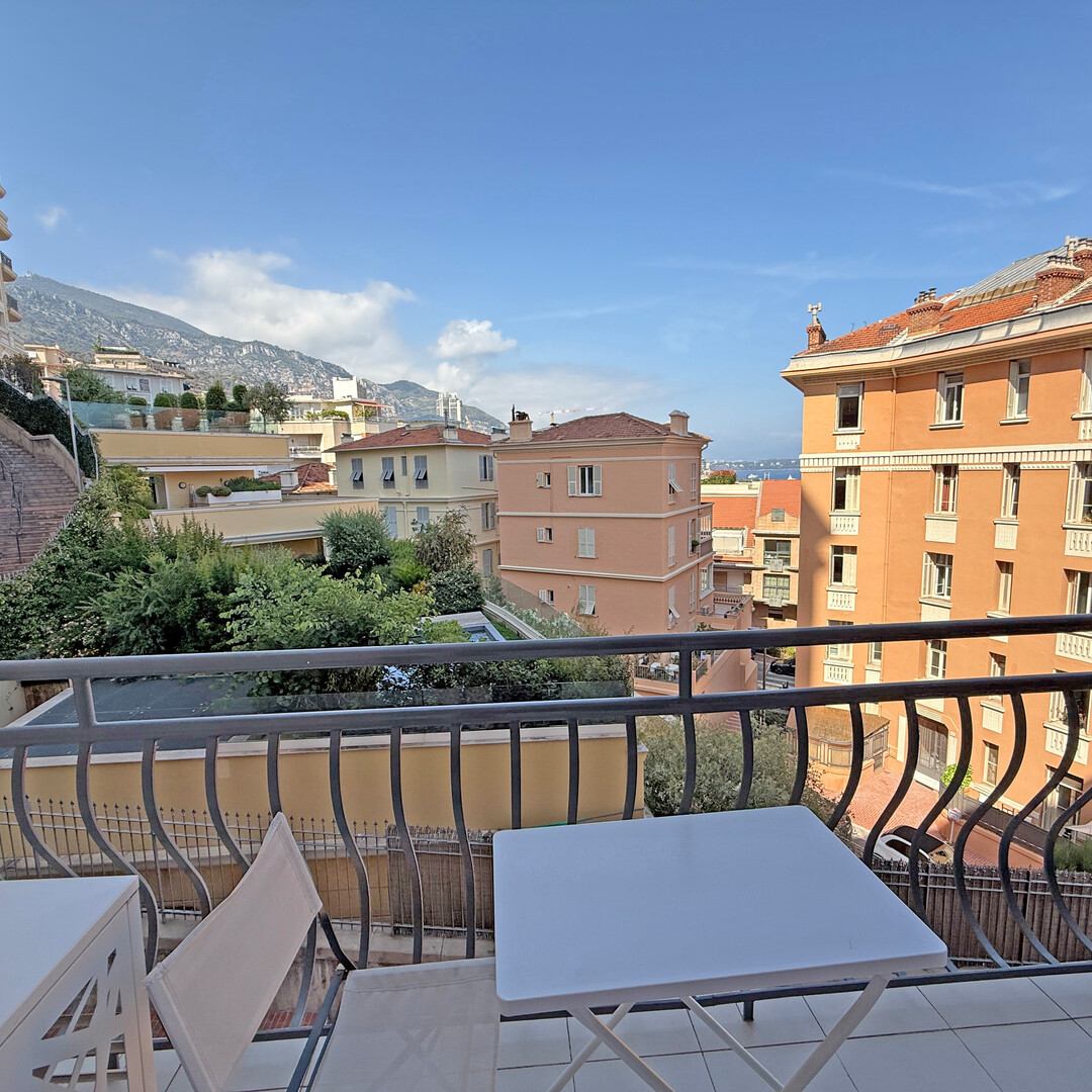 Spazioso appartamento di 3 locali libero da qualsiasi legge - Appartamenti in vendita a MonteCarlo