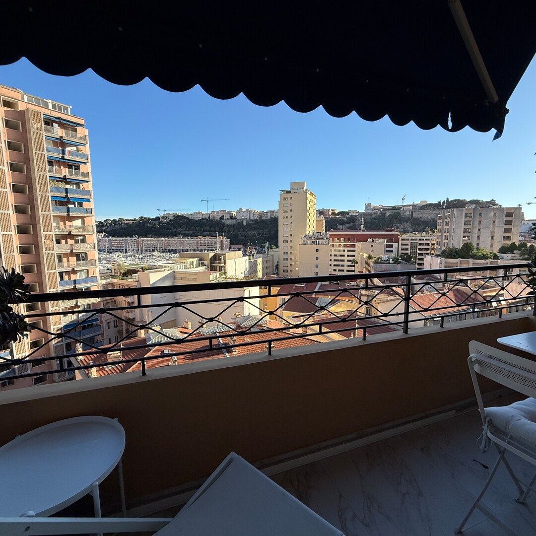 Elegante appartamento di 2 locali ristrutturato in un palazzo borghese - Appartamenti in vendita a MonteCarlo