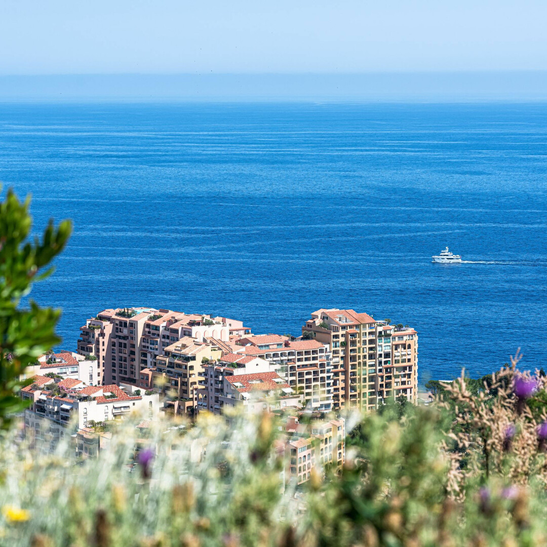L'ESOTICO - Appartamenti in vendita a MonteCarlo