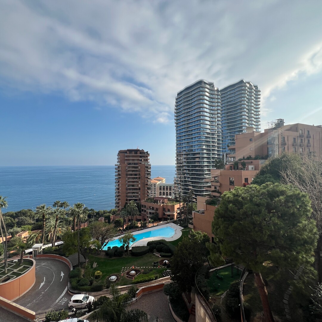 PARC SAINT-ROMAN (TORRE) - 2 CAMERE (USO MISTO) - Appartamenti in vendita a MonteCarlo