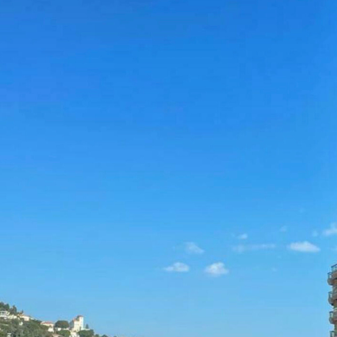 LAROUSSE/SAINT ROMAN/VILLA DEL SOLE/Attico/Tetto - Appartamenti in vendita a MonteCarlo