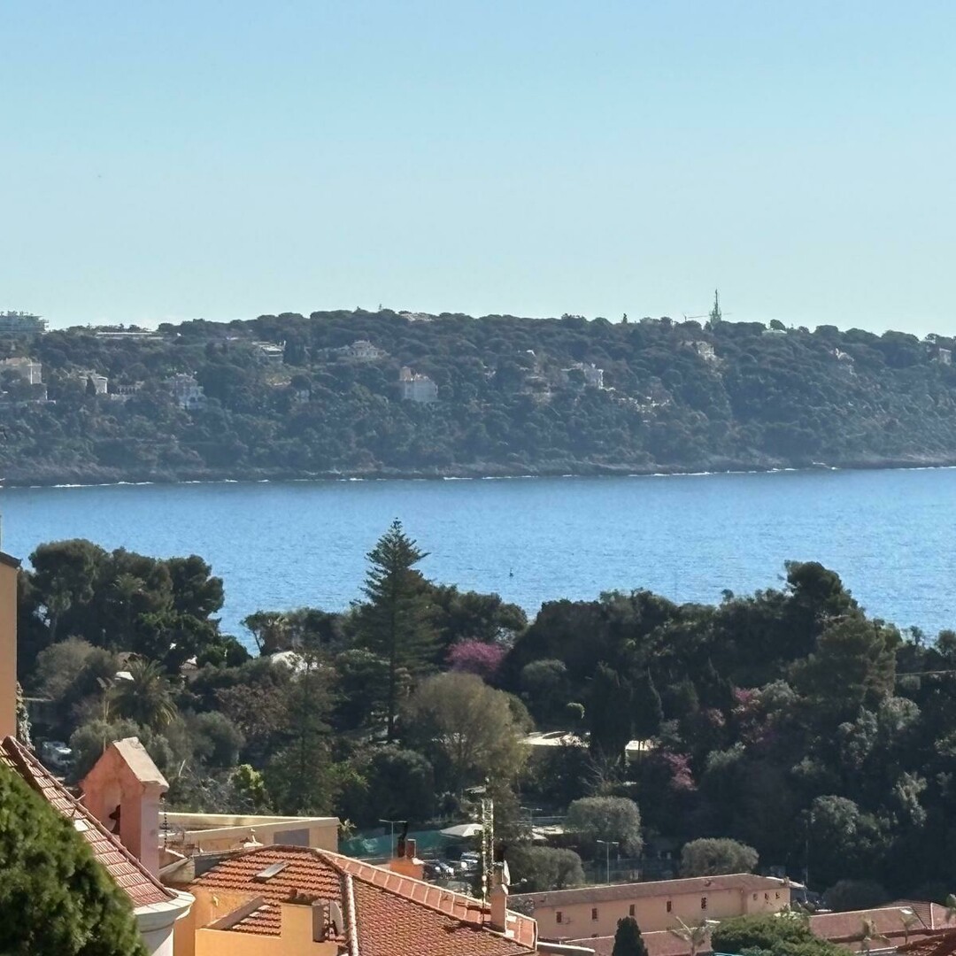 PARC SAINT ROMAN / AMPIO MONOLOCALE RISTRUTTURATO / PARCHEGGIO - Appartamenti in vendita a MonteCarlo