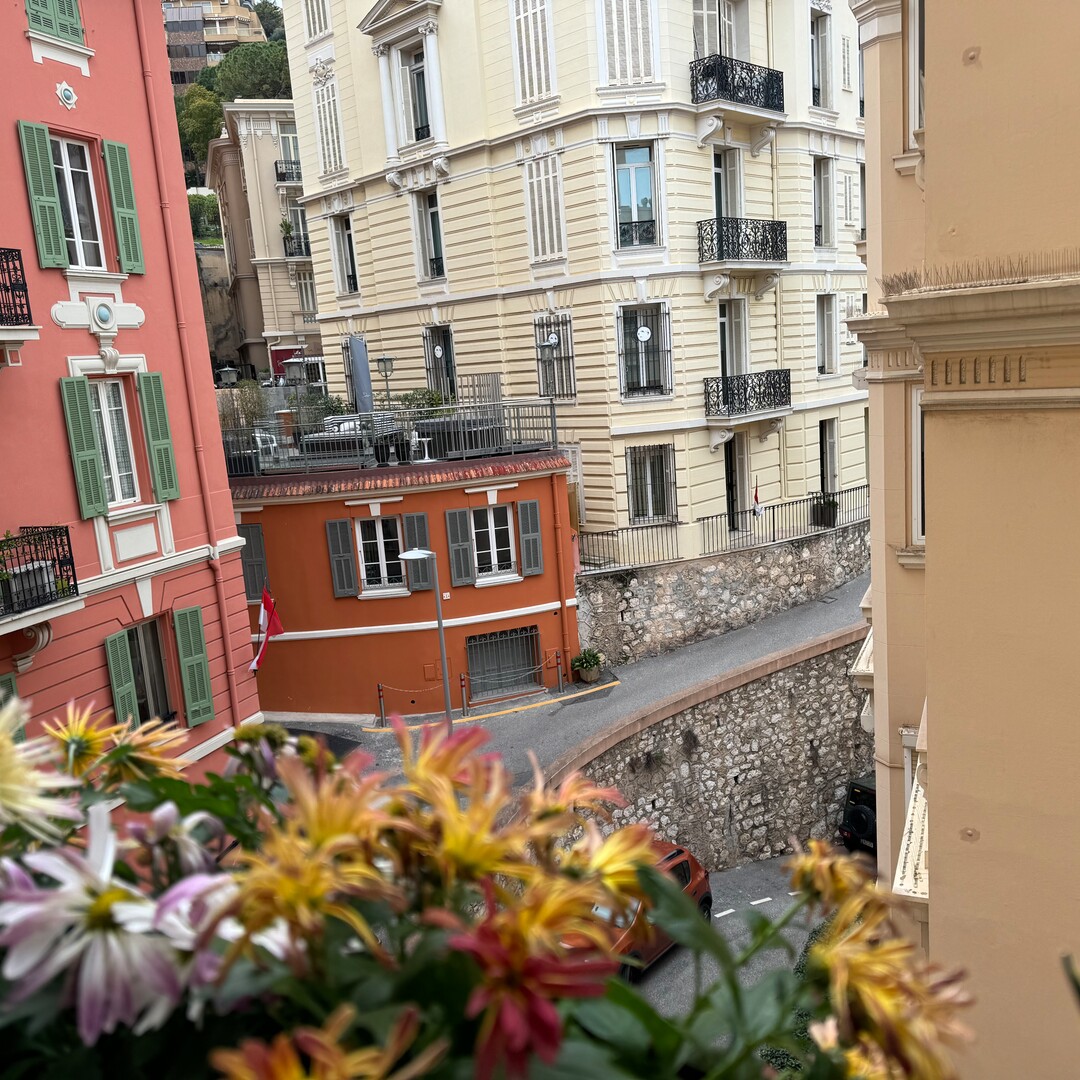 LAROUSSE / TOUR DU LARVOTTO / 2 STANZE - Appartamenti in vendita a MonteCarlo
