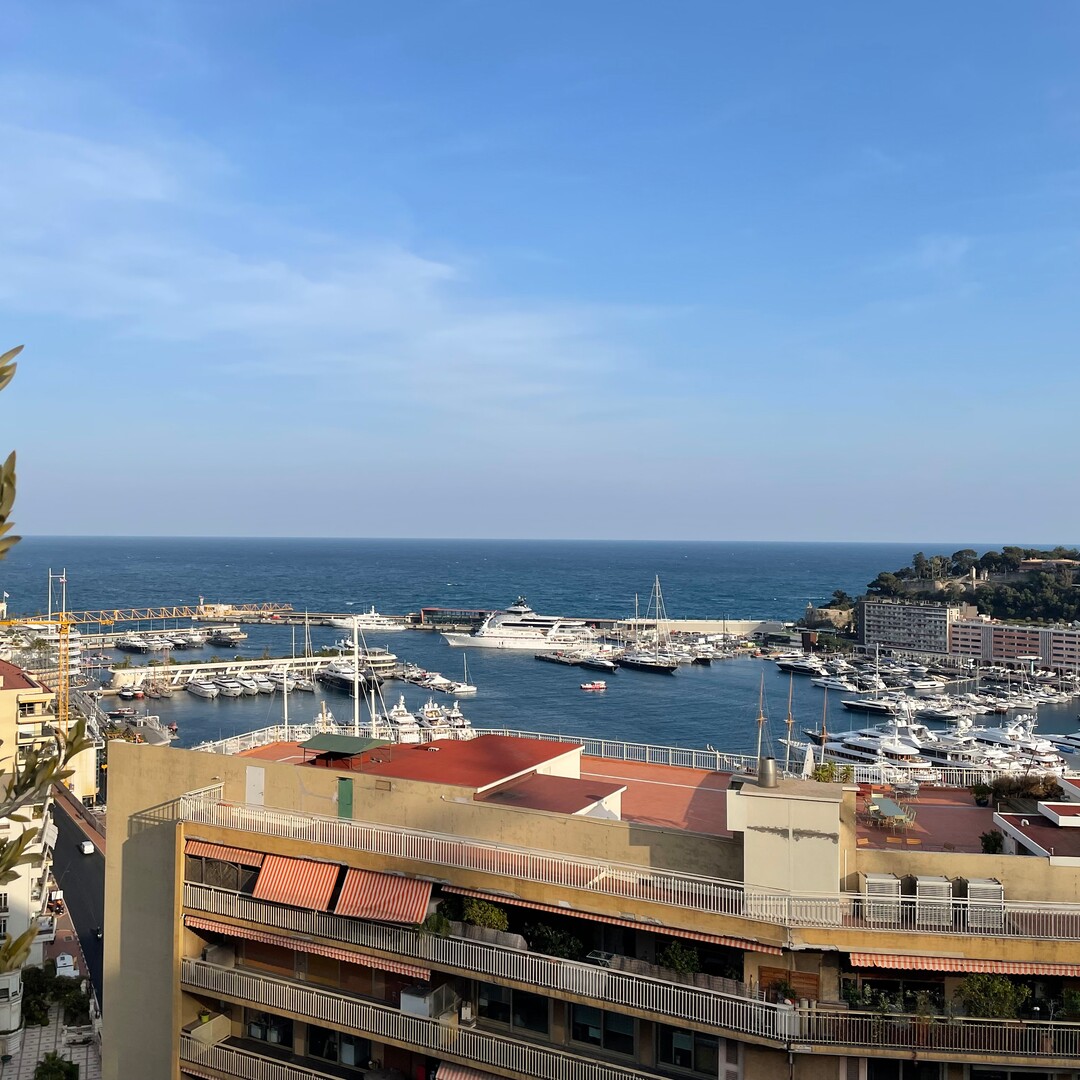 HAUT CONDAMINE/ HARBOR CREST / TRIPLEX - Appartamenti in vendita a MonteCarlo