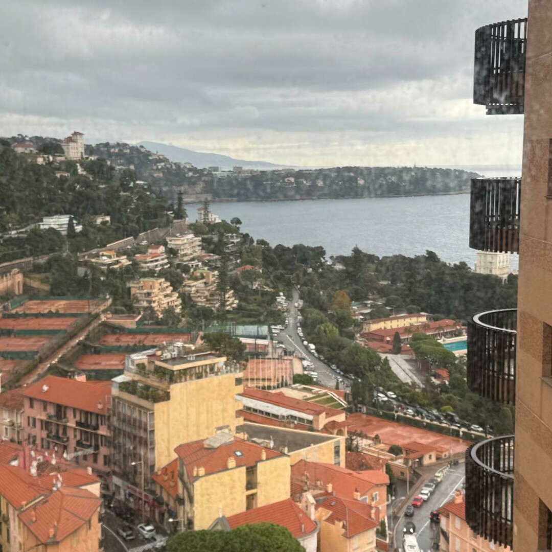 PARC SAINT ROMAN / LARGE STUDIO / CELLAR AND PARKING - Appartamenti in vendita a MonteCarlo
