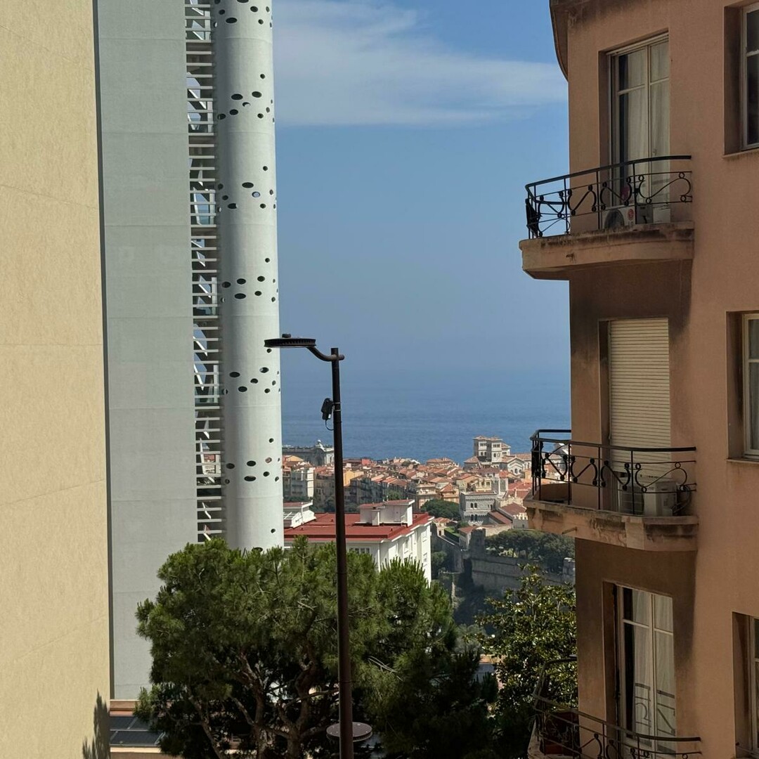 GIARDINO ESOTICO / 4 CAMERE / RISTRUTTURATO - Appartamenti in vendita a MonteCarlo