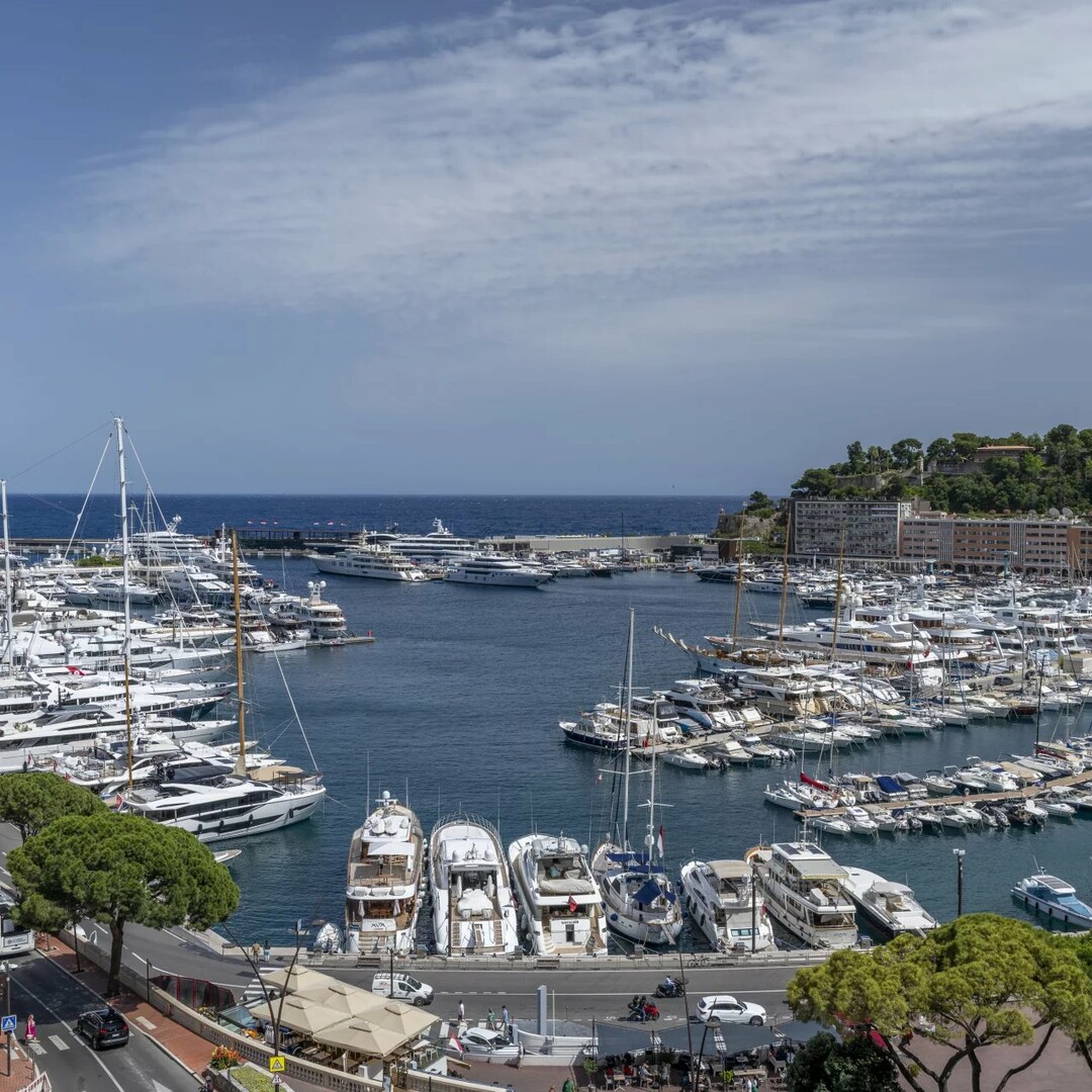 Condamine - Le Panorama - Appartamento unico - Appartamenti in vendita a MonteCarlo