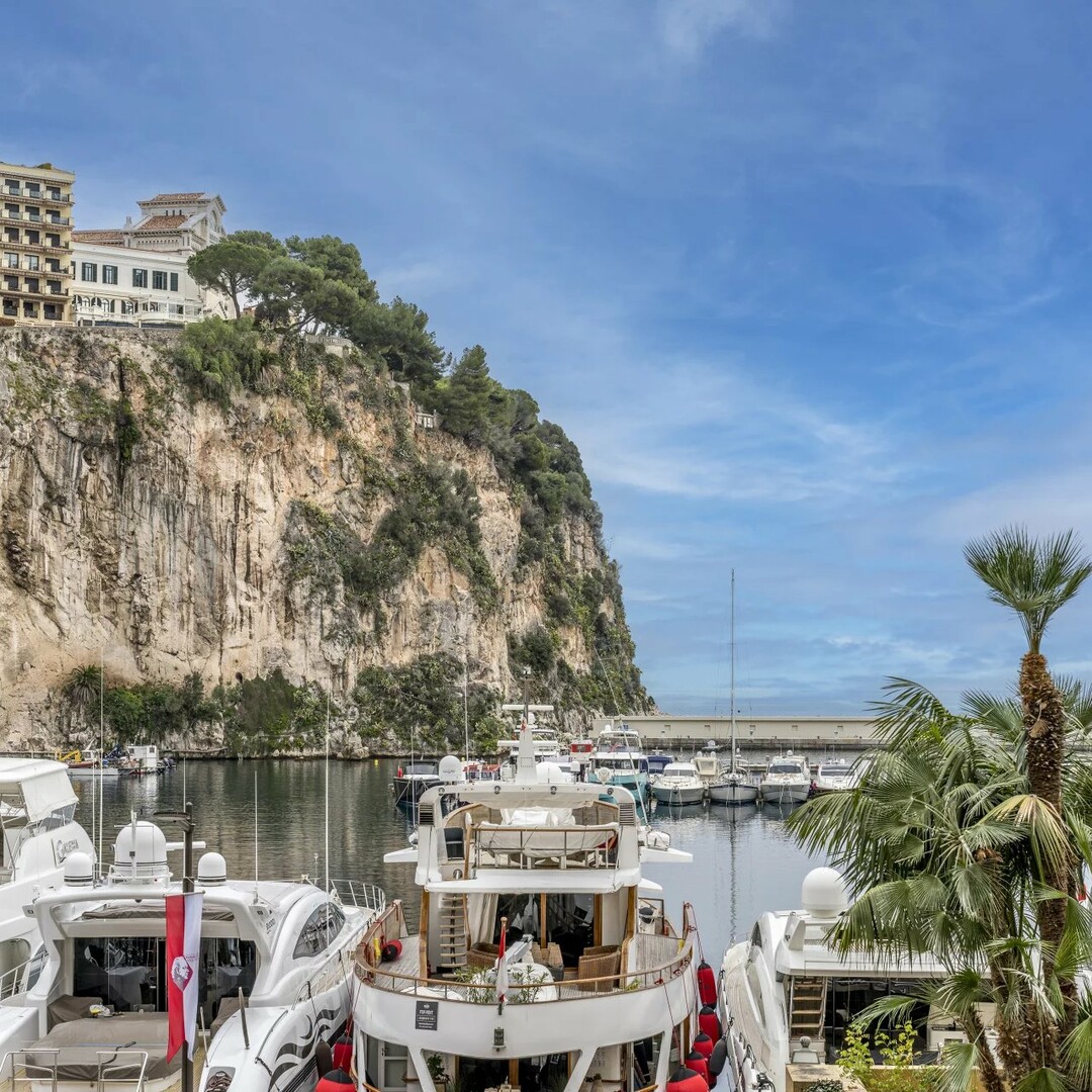 Fontvieille - Le Giorgione - 2 camere - Appartamenti in vendita a MonteCarlo