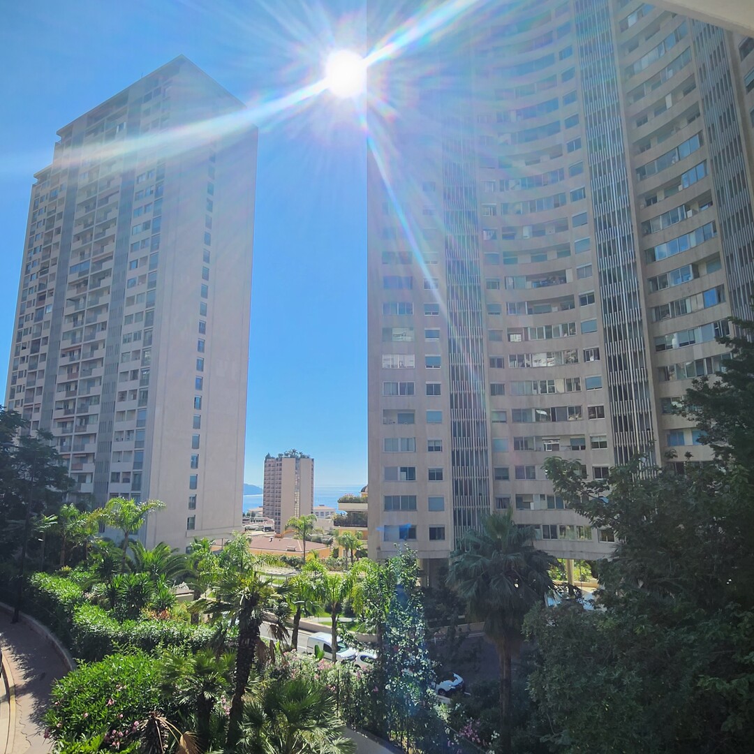 NUOVO - AUTEUIL RESIDENCE - RISTRUTTURATO BILOCALE - Appartamenti in vendita a MonteCarlo