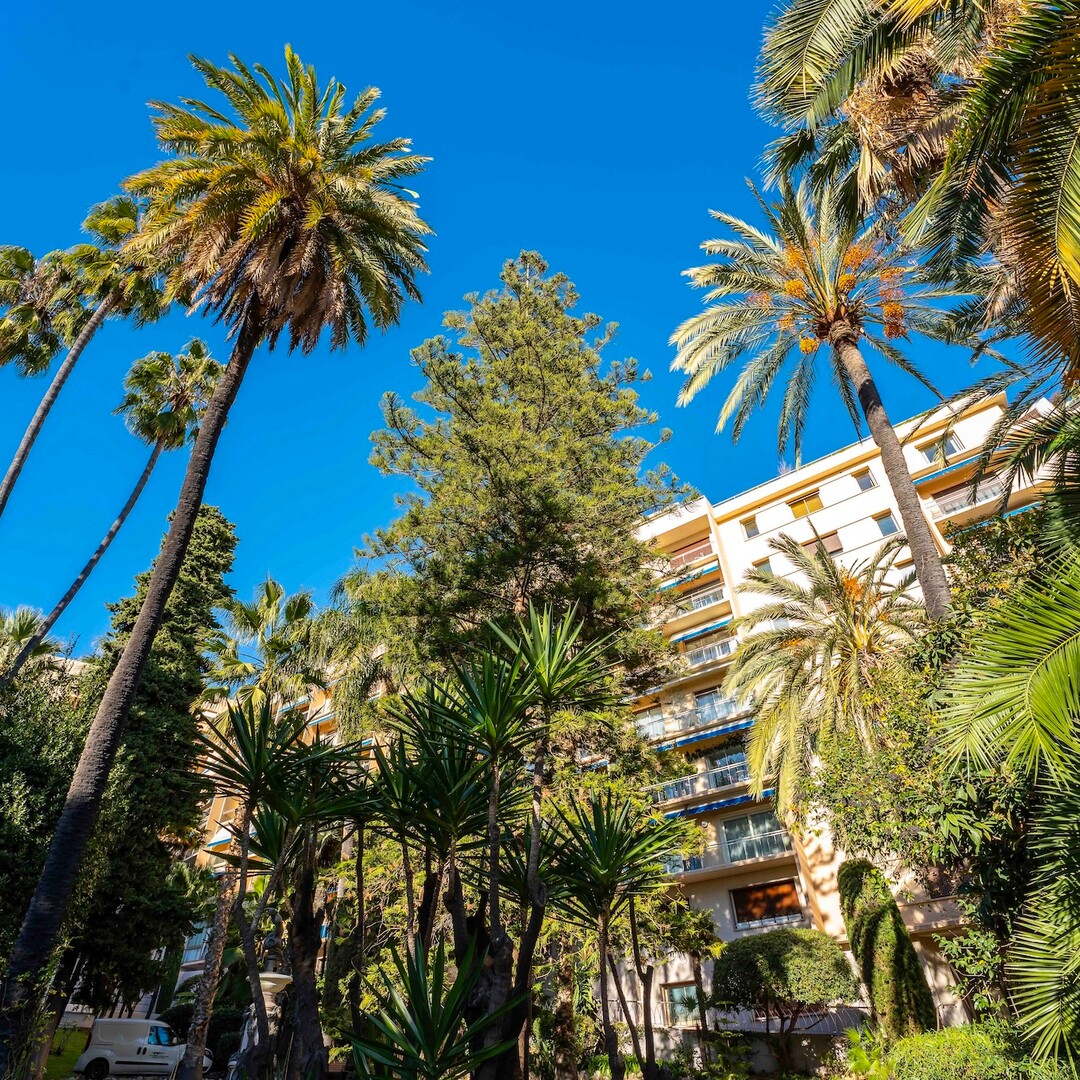 LE ROQUEVILLE - MAGNIFICO APPARTAMENTO RISTRUTTURATO DI 3 STANZE - Appartamenti in vendita a MonteCarlo