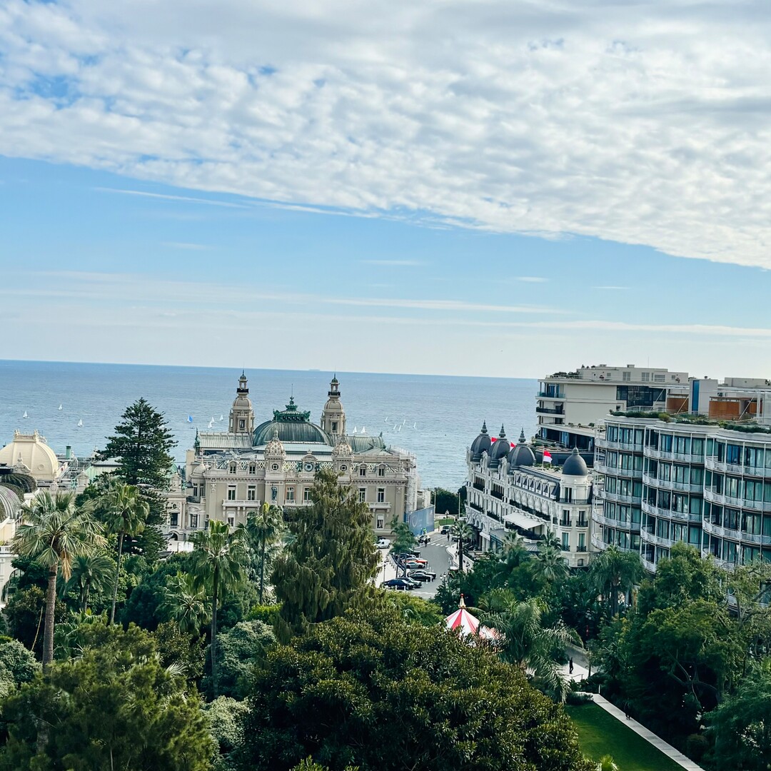 Posizione unica al Carré d'Or - Appartamenti in vendita a MonteCarlo