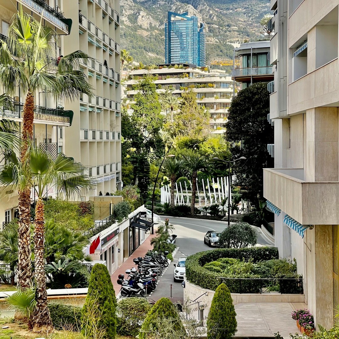 CARREÉ D'OR | PALAIS DE LA SCALA | STUDIO CON SOPPALCO - Appartamenti in vendita a MonteCarlo