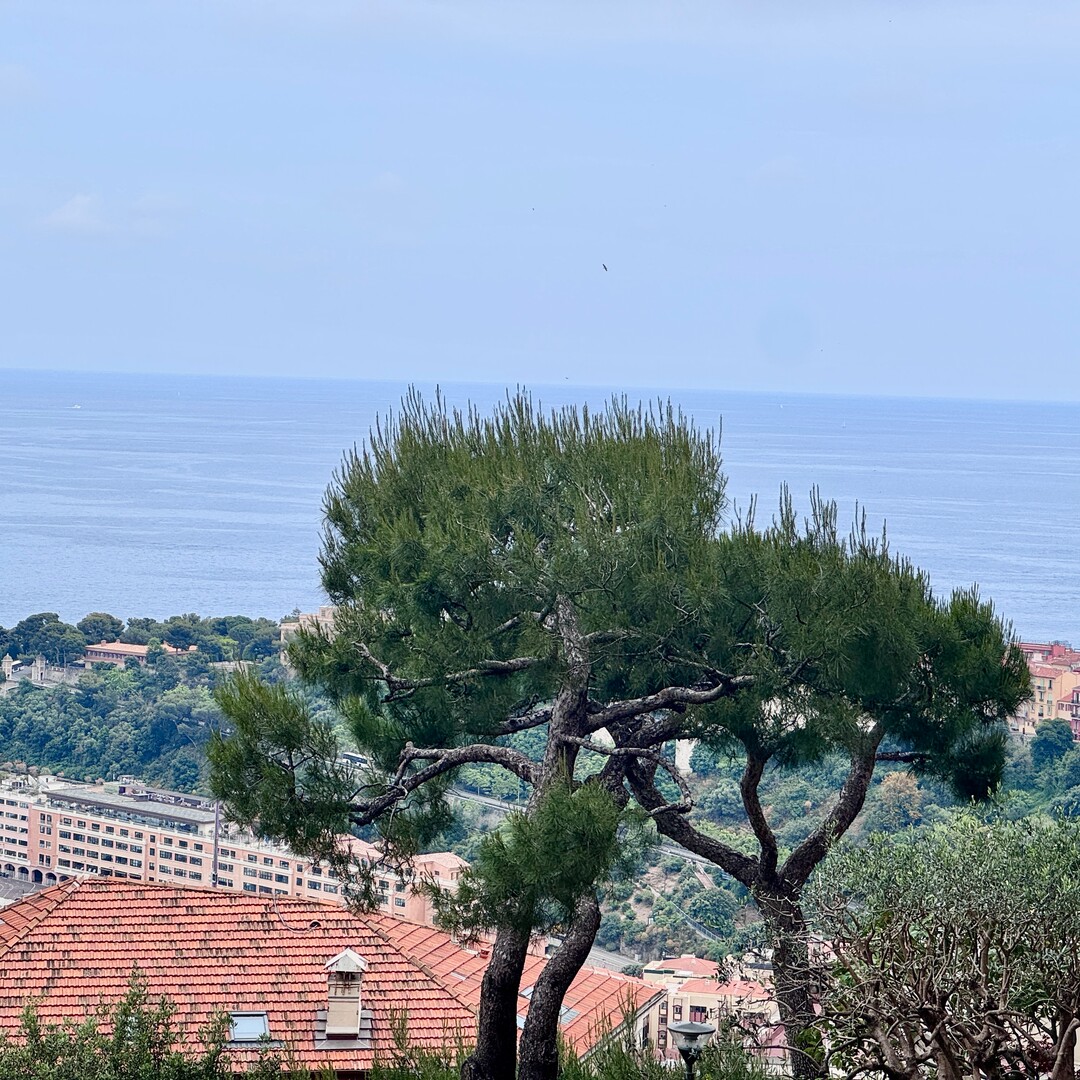 JARDIN EXOTIQUE | LES LIGURES | 3 STANZE - Appartamenti in vendita a MonteCarlo