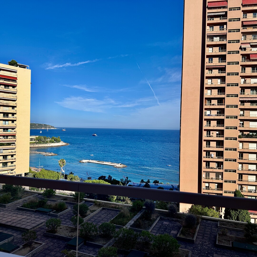 LAROUSSE | SANTA MONICA | 2 PEZZI - Appartamenti in vendita a MonteCarlo
