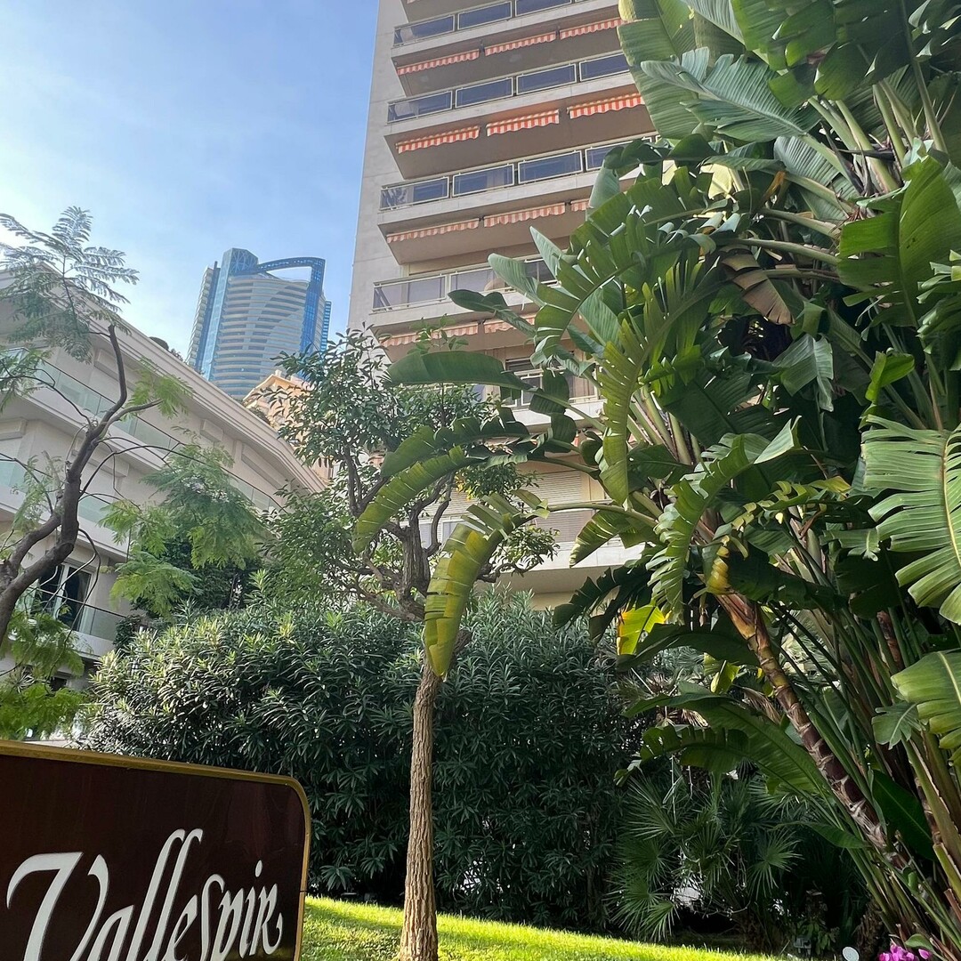 OCCASIONE ! Ampio appartamento 3/4 locali da ristrutturare - Appartamenti in vendita a MonteCarlo