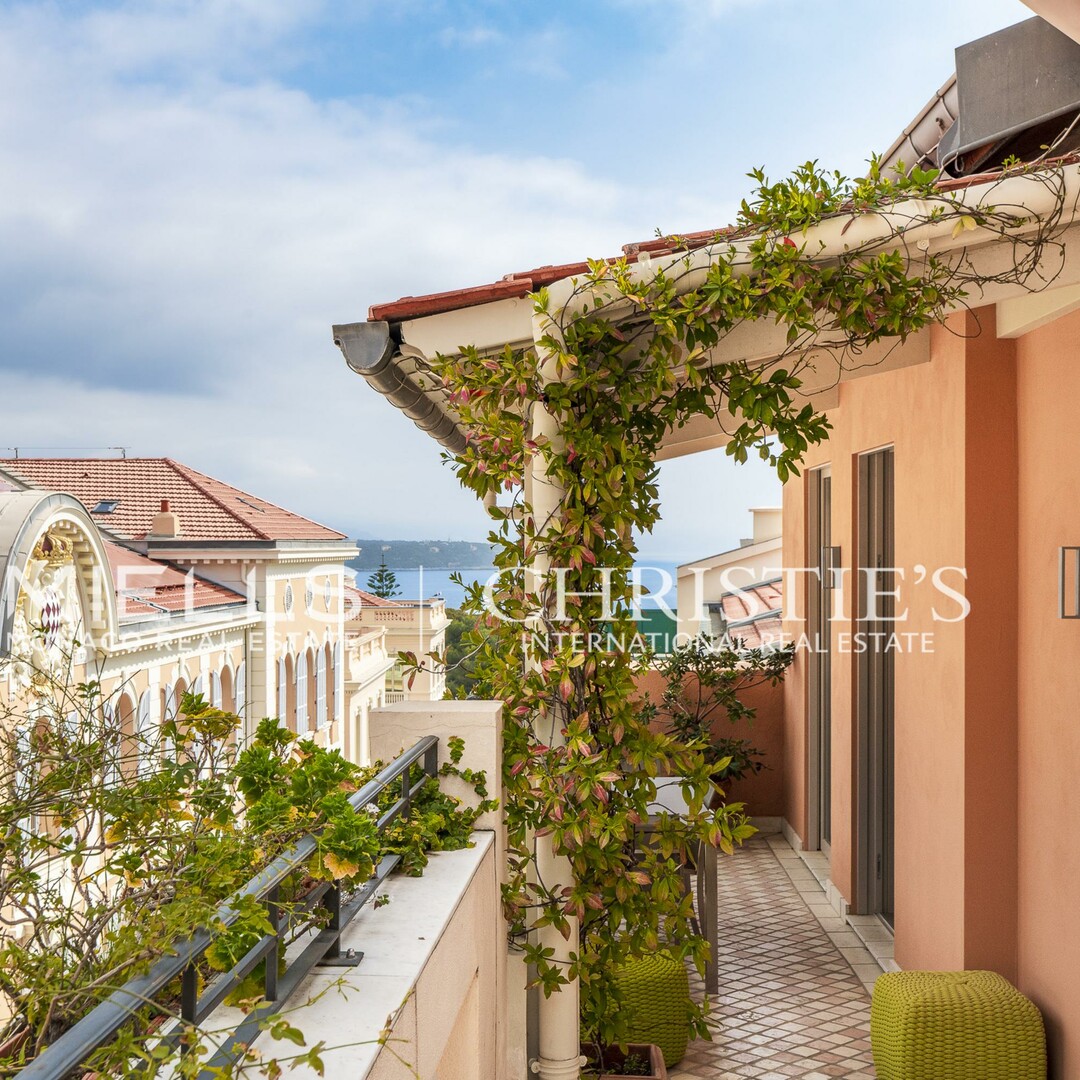 Raro | Grande appartamento di charme nel cuore del Rocher - Appartamenti in vendita a MonteCarlo
