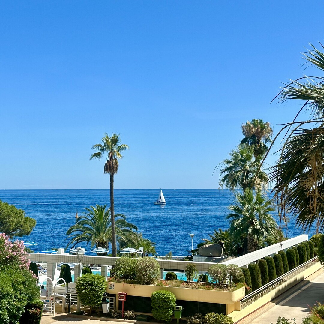 Lussuoso e ampio appartamento in un ambiente tranquillo e immerso nel verde - Appartamenti in vendita a MonteCarlo
