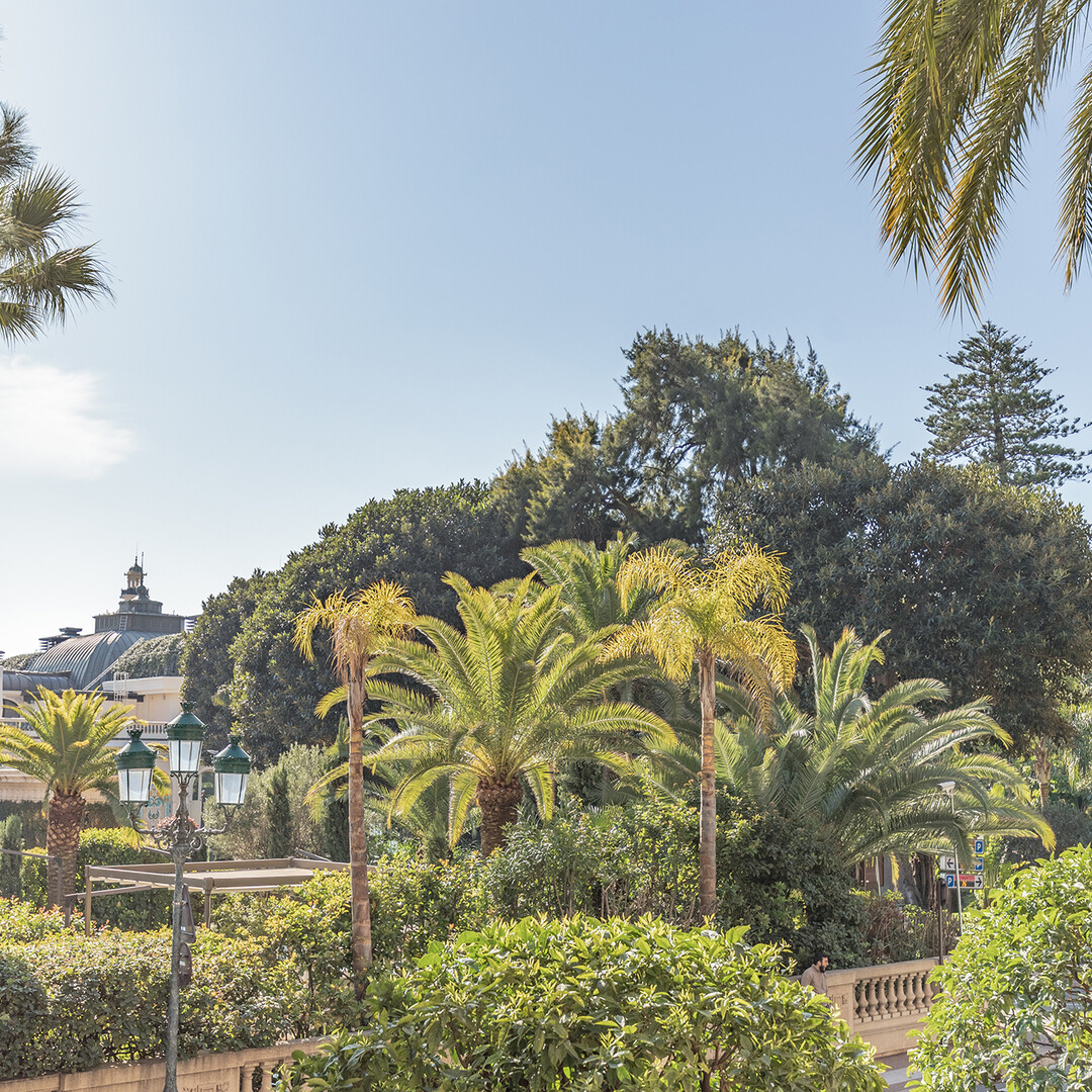Luxury renovated 3 rooms apartment - Appartamenti in vendita a MonteCarlo