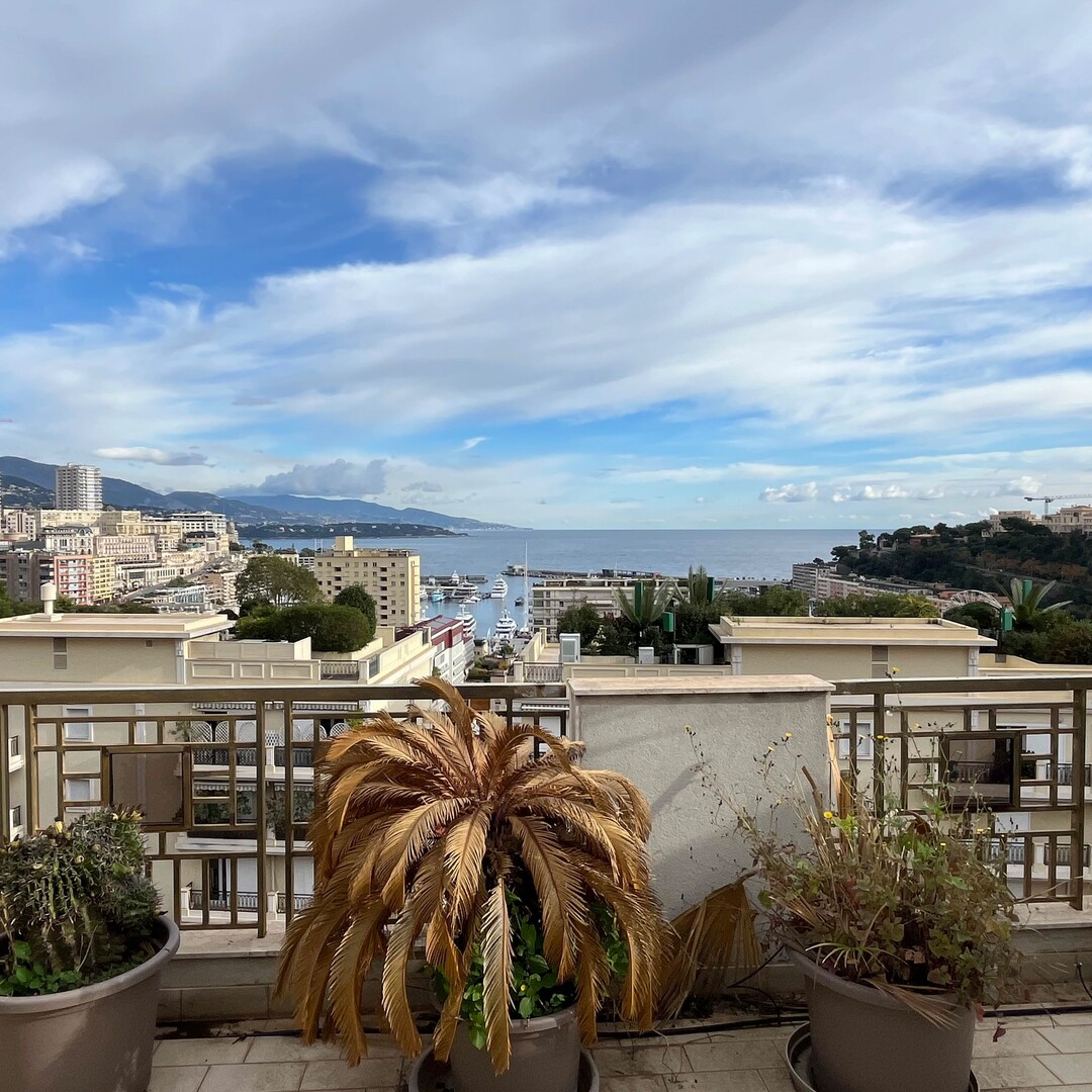 LUMINEUX DUPLEX  / PENTHOUSE  À LA CONDAMINE - Appartamenti in vendita a MonteCarlo