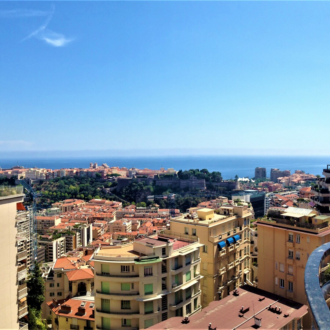 ATTICO DI 4 LOCALI CON TERRAZZA SUL TETTO, VISTA PANORAMICA - Appartamenti in vendita a MonteCarlo