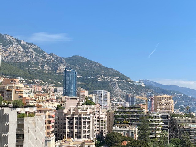 LUSSUOSO TRI-LOCALE NEL CARRE D'OR - Appartamenti in vendita a MonteCarlo