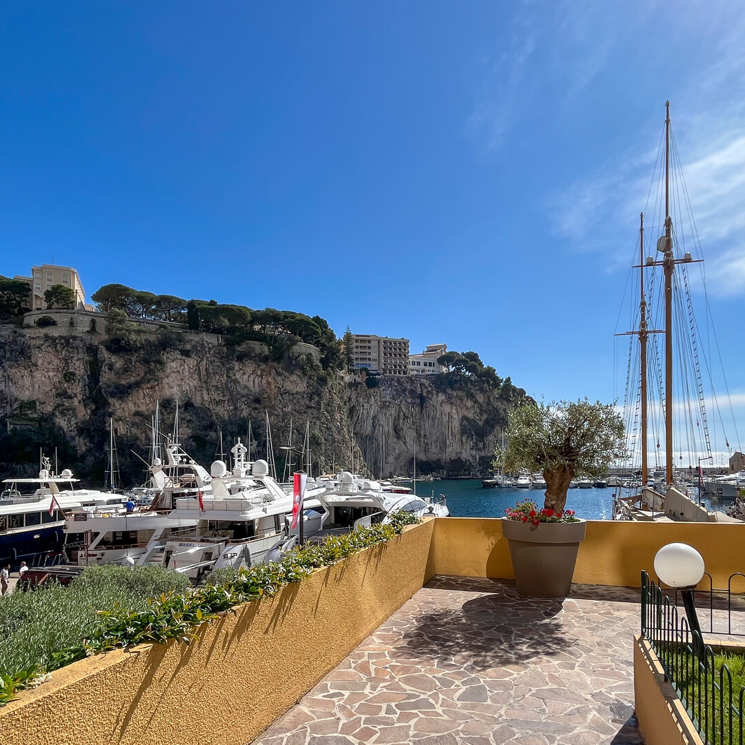 Locali commerciali con rendimento ideale per l'affitto delle finestre - Appartamenti in vendita a MonteCarlo