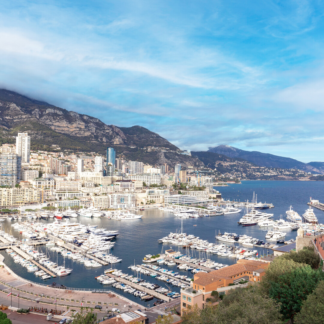 MAGNIFICA VILLA SULLA ROCCA DI MONACO - Appartamenti in vendita a MonteCarlo