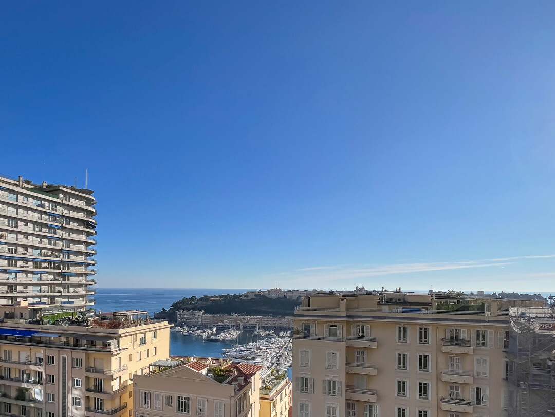 MAGNIFICO APPARTAMENTO DI 3 LOCALI RISTRUTTURATO - Appartamenti in vendita a MonteCarlo