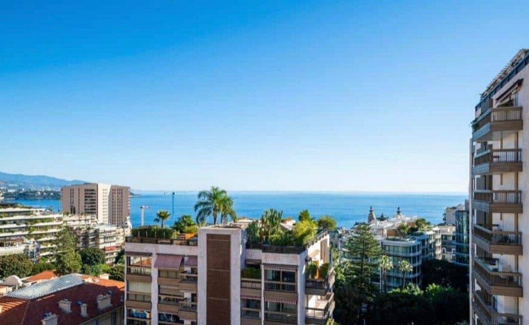 APPARTAMENTO CON TERRAZZA SUL TETTO - Appartamenti in vendita a MonteCarlo