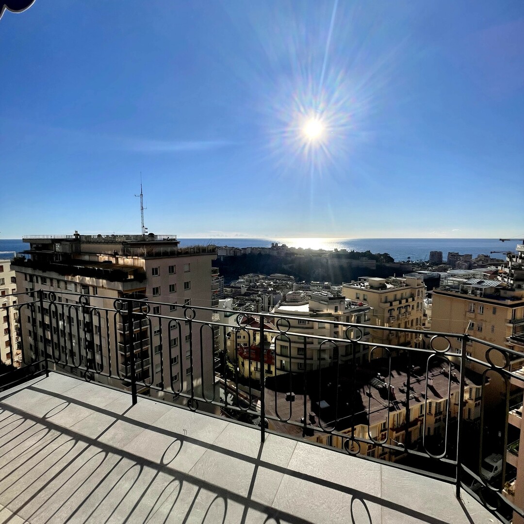 PENTHOUSE 4/5 LOCALI - Appartamenti in vendita a MonteCarlo