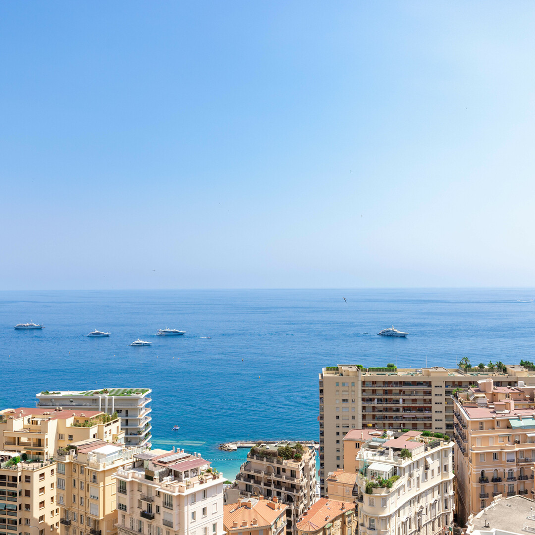 BELLISSIMO APPARTAMENTO DI 2 LOCALI AL PIANO ALTO - Appartamenti in vendita a MonteCarlo