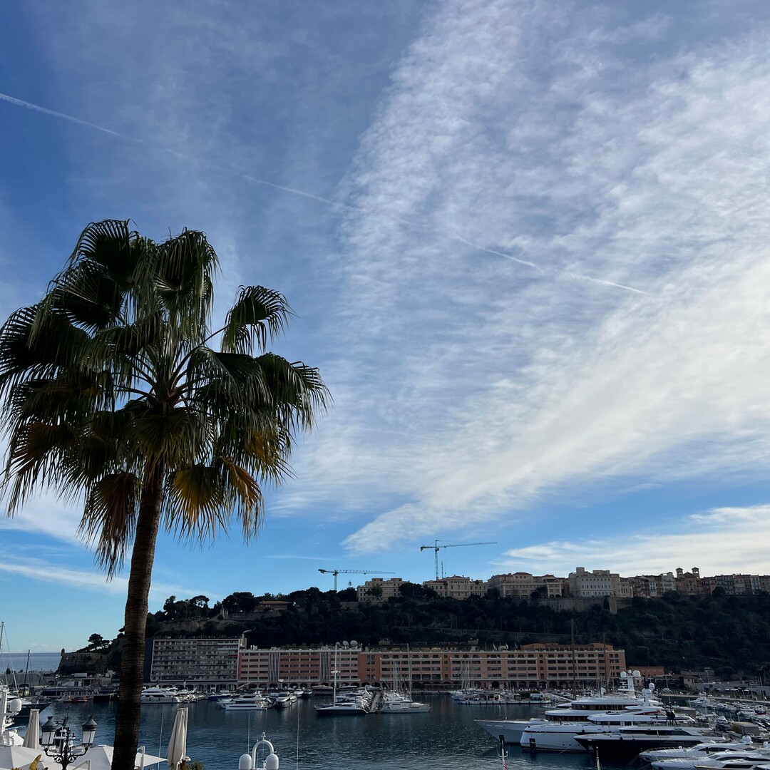 6 STANZE - VILLA MINERVE - Appartamenti in vendita a MonteCarlo