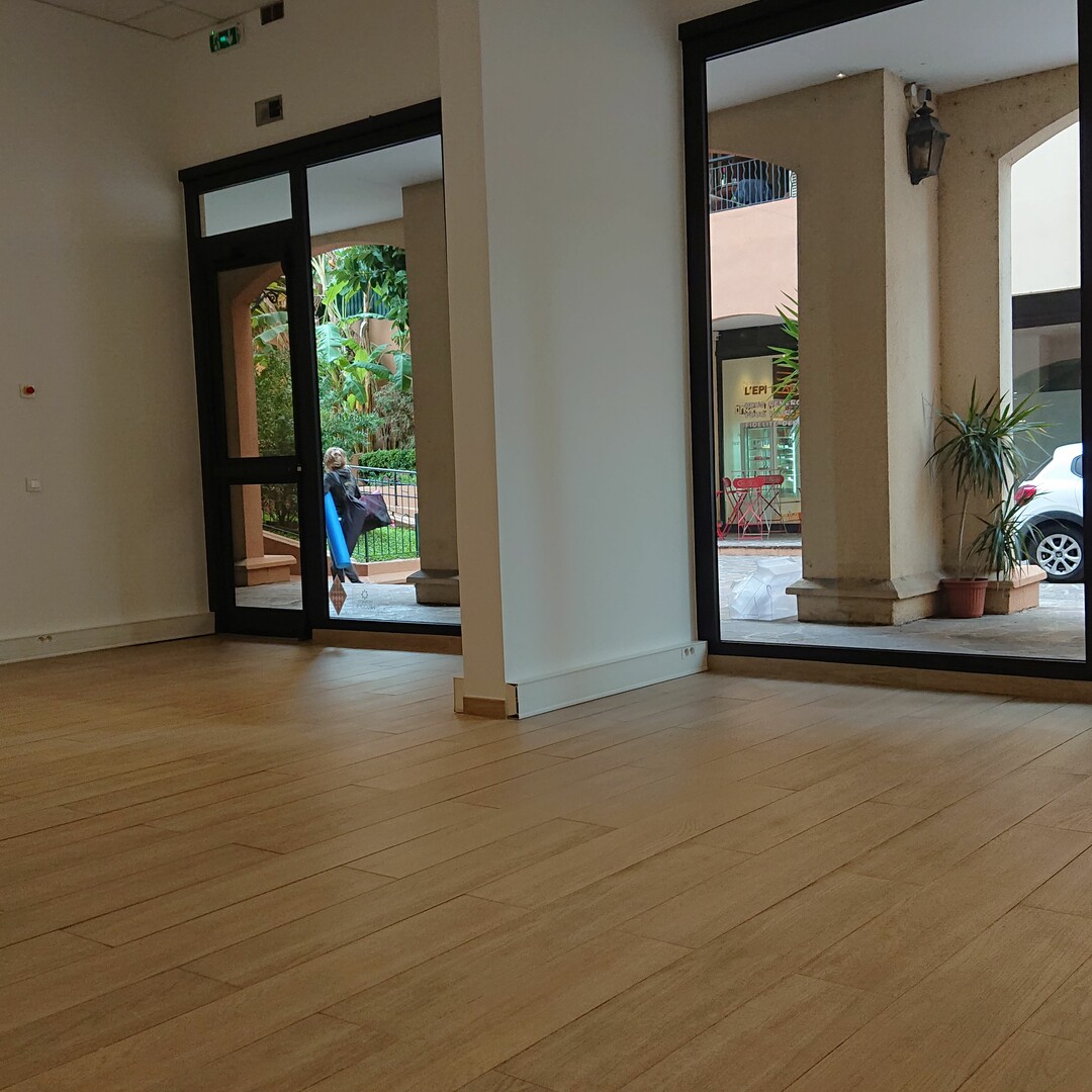 LE BOTTICELLI - Appartamenti in vendita a MonteCarlo