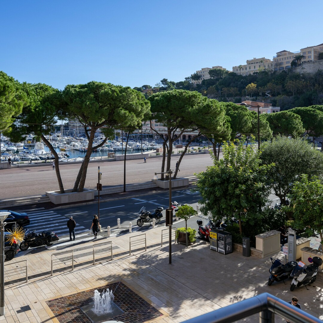 PALAZZO IL PETREL - Appartamenti in vendita a MonteCarlo