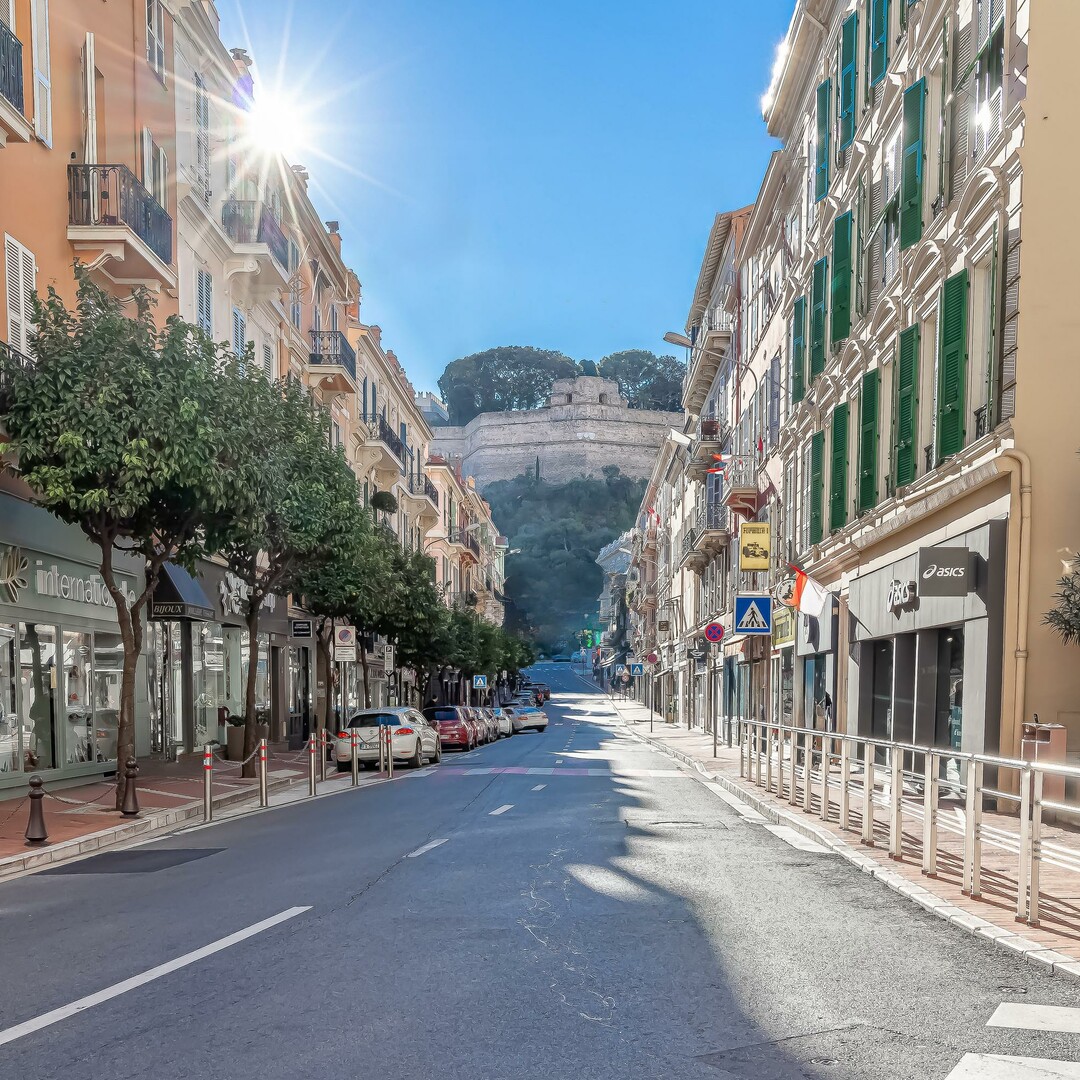 Monolocale arredato nel quartiere della Condamine