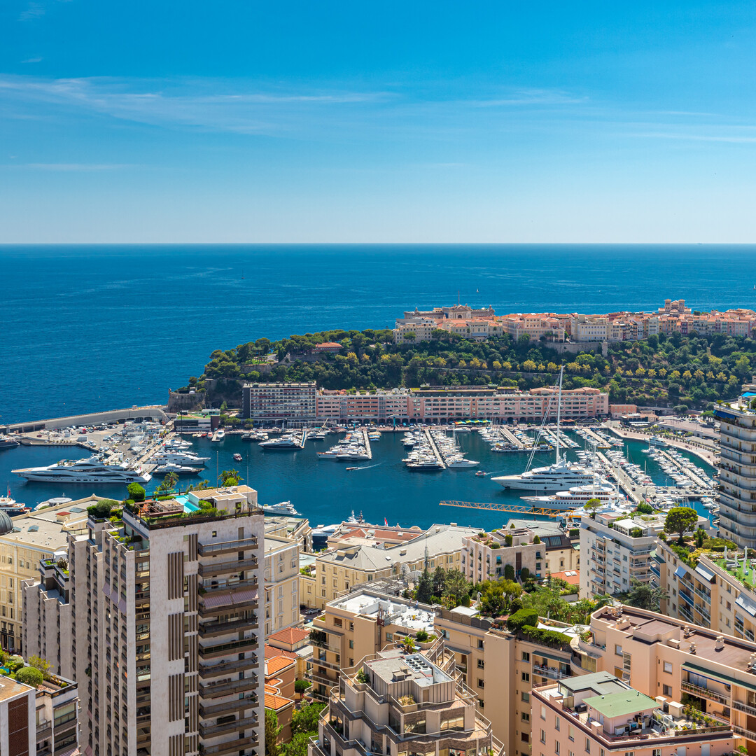 NEL CUORE DI MONTE-CARLO - VISTA MOZZAFIATO