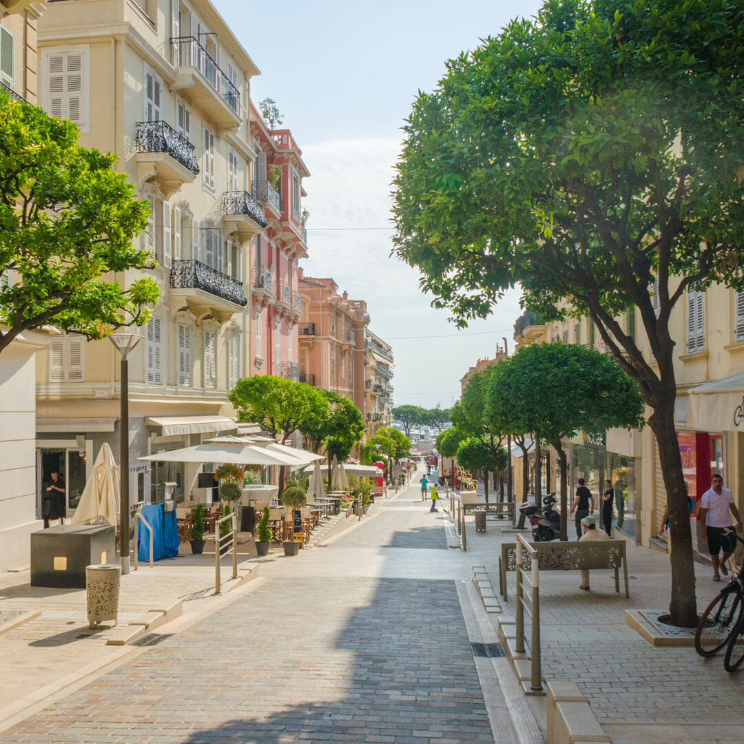 Bellissimo appartamento in rue Princesse Caroline