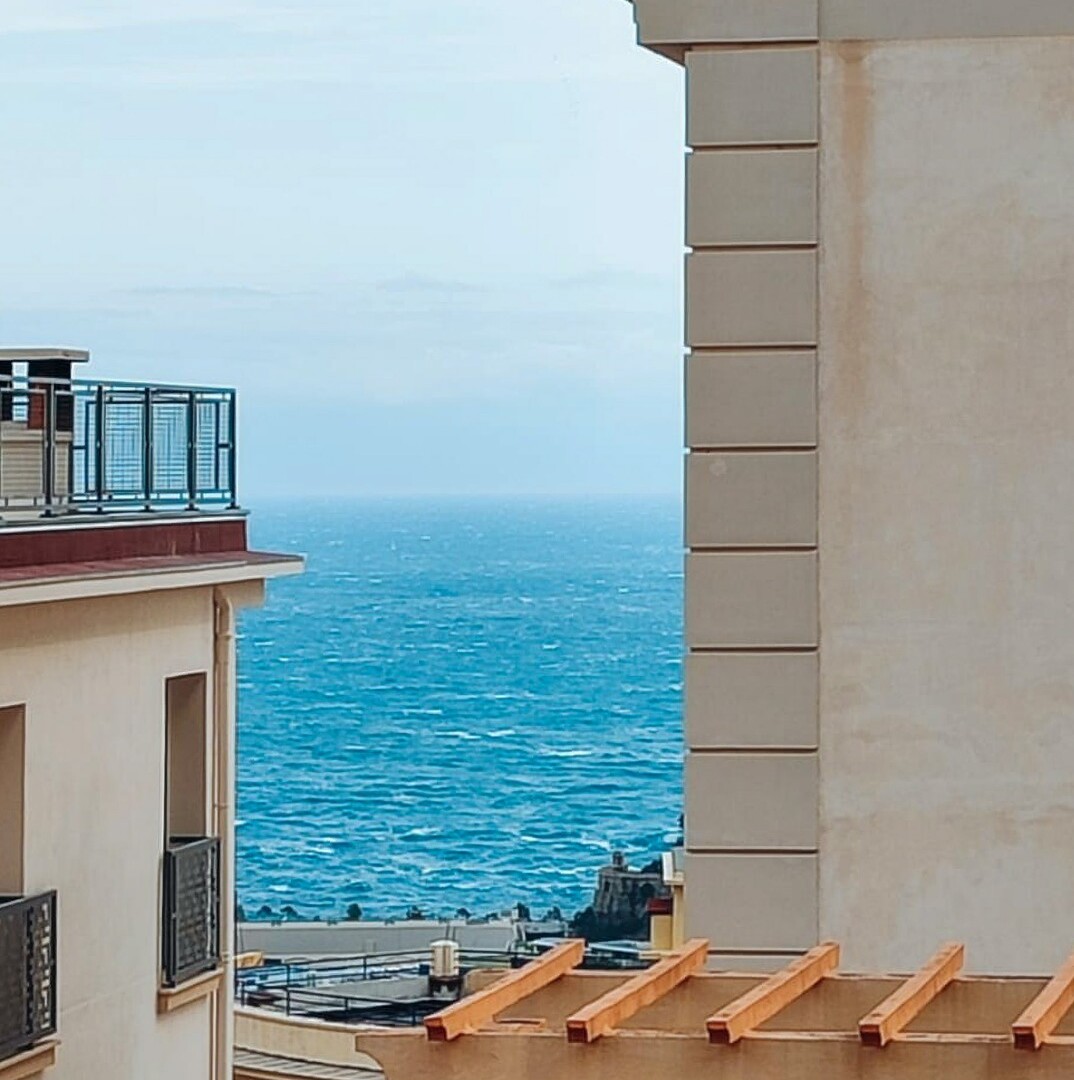 BUSINESS / SPAZIOSO APPARTAMENTO DI 3 LOCALI DA RISTRUTTURARE / BALCONI - Appartamenti in vendita a MonteCarlo