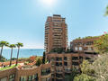 Studio Monte-Carlo Sun ad uso misto - Appartamenti in vendita a MonteCarlo