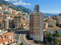 Le Franzido Palace - Boulevard du Jardin Exotique - Appartamenti in vendita a MonteCarlo