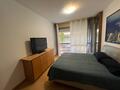 VALLESPIR - APPARTAMENTO DI 4 STANZE - Appartamenti in vendita a MonteCarlo
