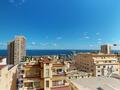 Splendido trilocale ristrutturato | Tranquillo | Vista mare - Appartamenti in vendita a MonteCarlo