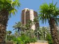PARC SAINT ROMAN, BELLISSIMO MONOLOCALE RISTRUTTURATO - Appartamenti in vendita a MonteCarlo