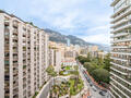 PARK PALACE - Appartamento Trilocale – Residenza di Prestigio nel Carré d’Or - Appartamenti in vendita a MonteCarlo