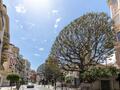Boulevard des Moulins - Fondi di commercio - Appartamenti in vendita a MonteCarlo